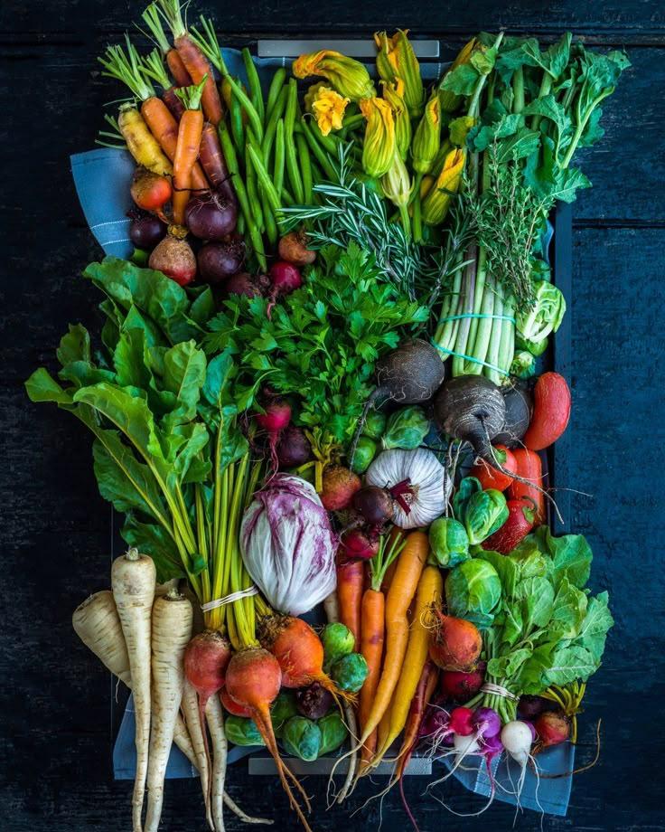 Garden Fresh Medley: Nature's Handpicked Assortment